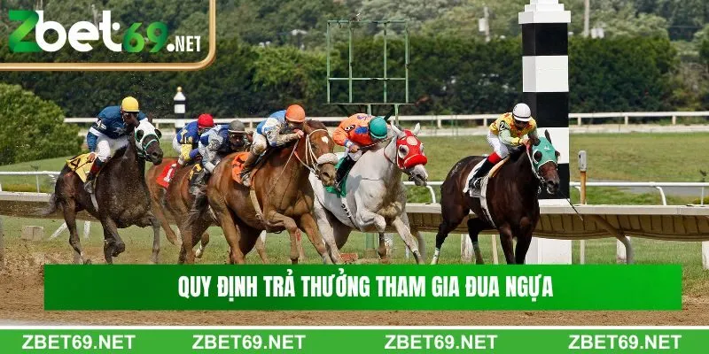 Tổng hợp quy định trả thưởng khi tham gia Đua ngựa Tổng hợp quy định trả thưởng khi tham gia Đua ngựa