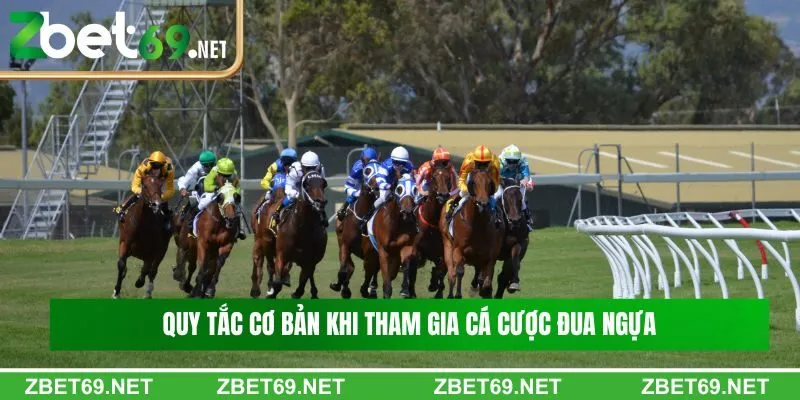 Tổng hợp quy tắc cơ bản khi tham gia cá cược đua ngựa Tổng hợp quy tắc cơ bản khi tham gia cá cược đua ngựa