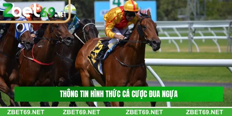 Thông tin đôi nét về hình thức cá cược đua ngựa Thông tin đôi nét về hình thức cá cược đua ngựa