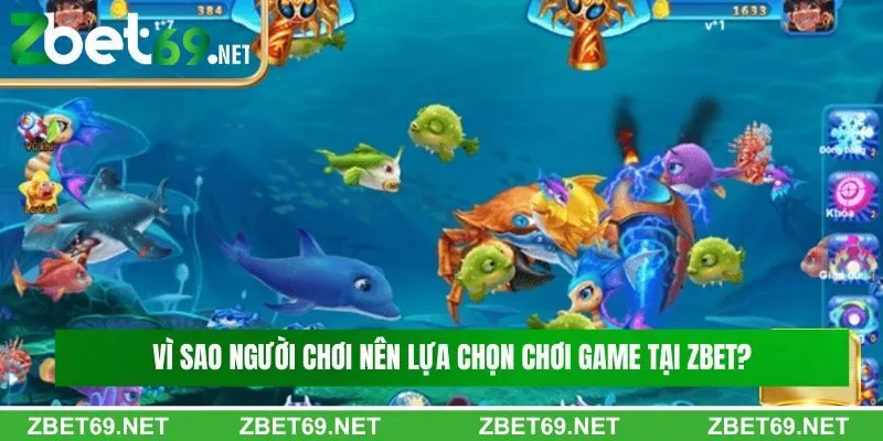 Vì sao người chơi nên lựa chọn chơi game tại Zbet?