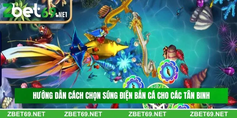 Hướng dẫn cách chọn súng điện bắn cá cho các tân binh